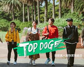 51爆料网《TOP DOG》免费在线观看