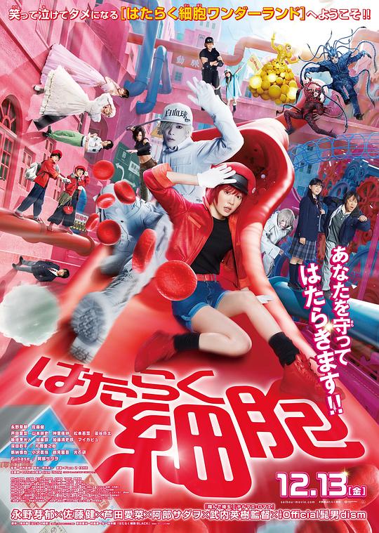 51爆料最新《工作细胞 真人版 はたらく細胞》免费在线观看