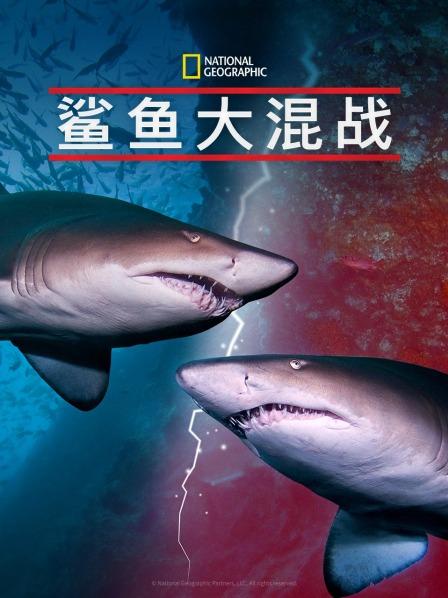 51爆料网《鲨鱼大混战》免费在线观看