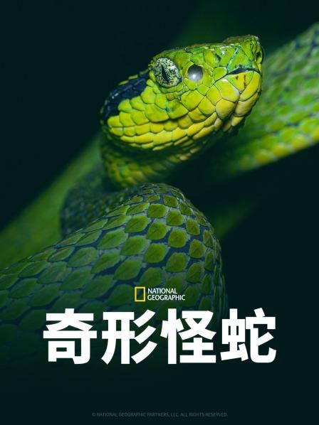 51猎奇《奇形怪蛇》免费在线观看